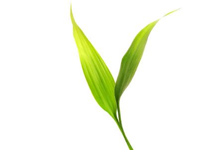 深圳智慧教育為現(xiàn)代化教育指引前進(jìn)方向